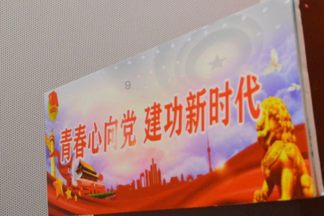 沙皮狗逃离