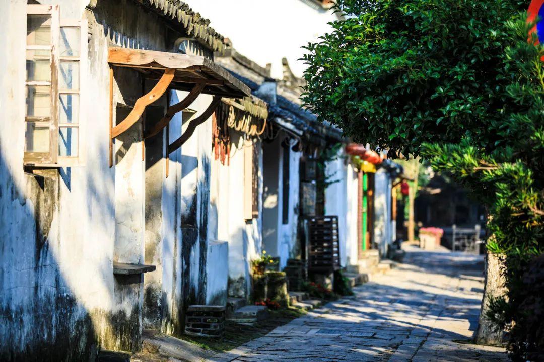 国家地理探险失落之城